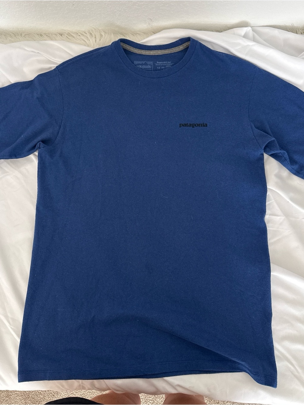 Patagonia Short Sleeve Crew T-Shirt in Blue